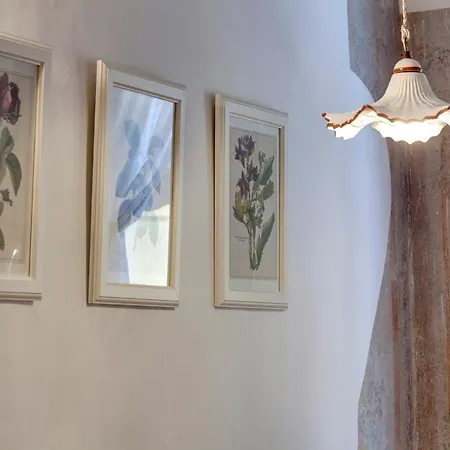 Homes Santa Maria Novella *